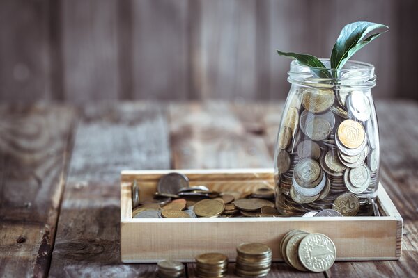 bank-with-coins-green-sprout (1)